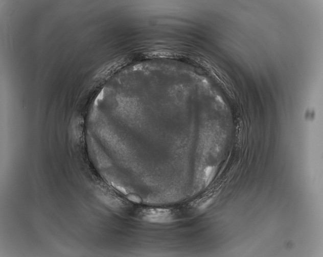 X0000096980361200802291151