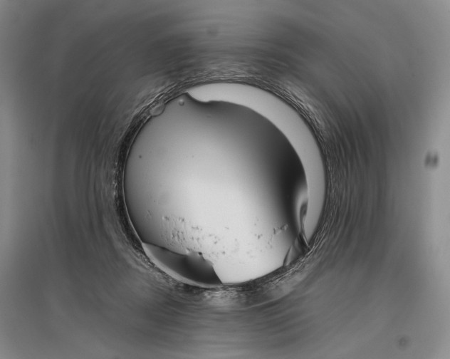 X0000096980362200802291151