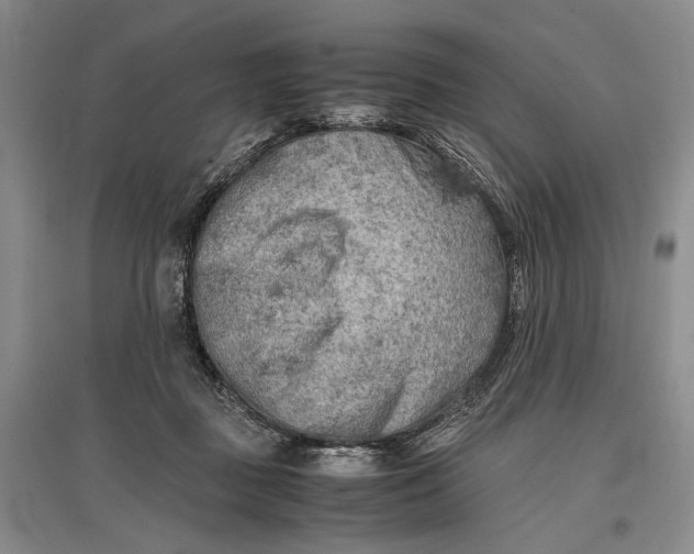 X0000096980363200802291151