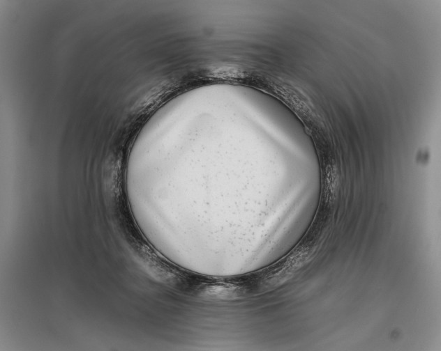 X0000096980364200802291151