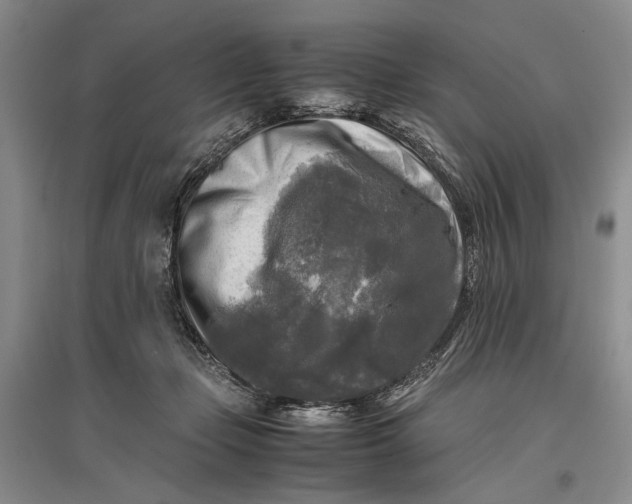 X0000096980365200802291151