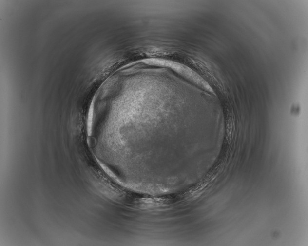 X0000096980367200802291151