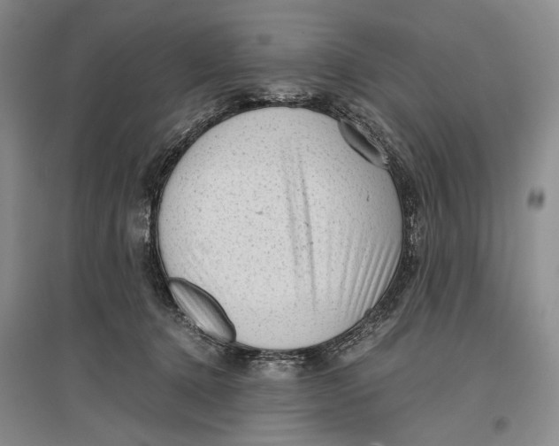 X0000096980368200802291151