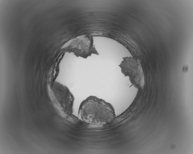 X0000096980369200802291151