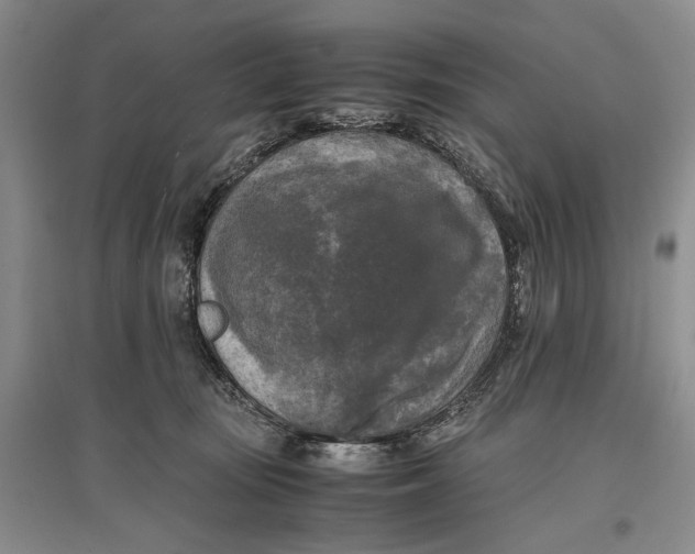 X0000096980371200802291151