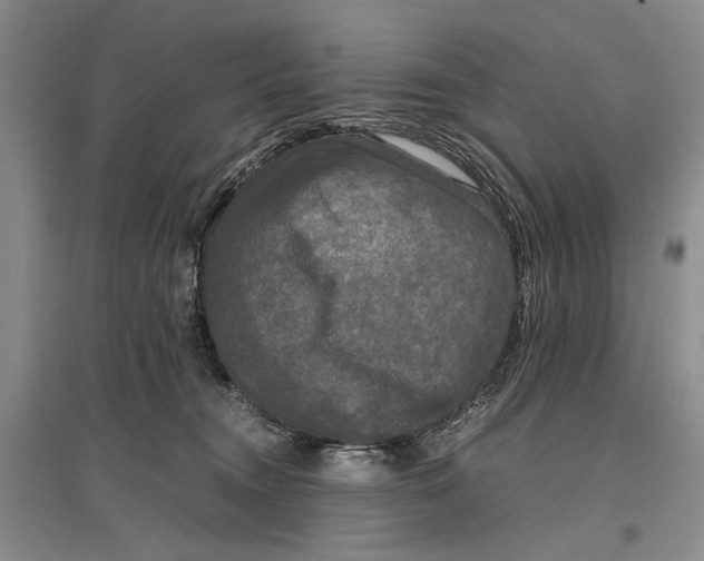 X0000096980372200802291151