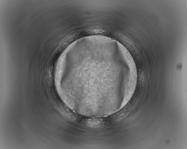 X0000096980373200802291151