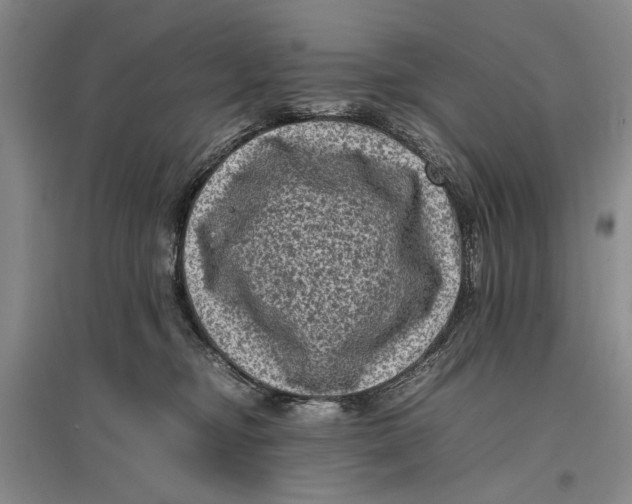 X0000096980374200802291151