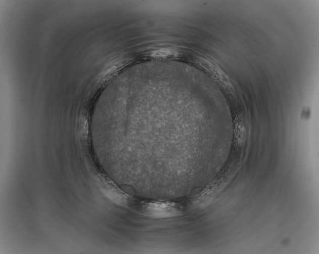 X0000096980375200802291151