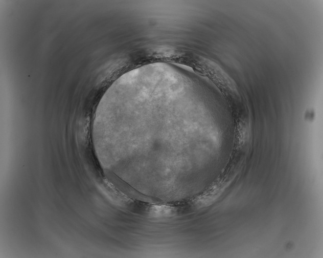 X0000096980376200802291151