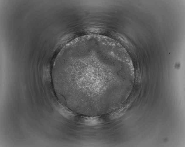 X0000096980377200802291151