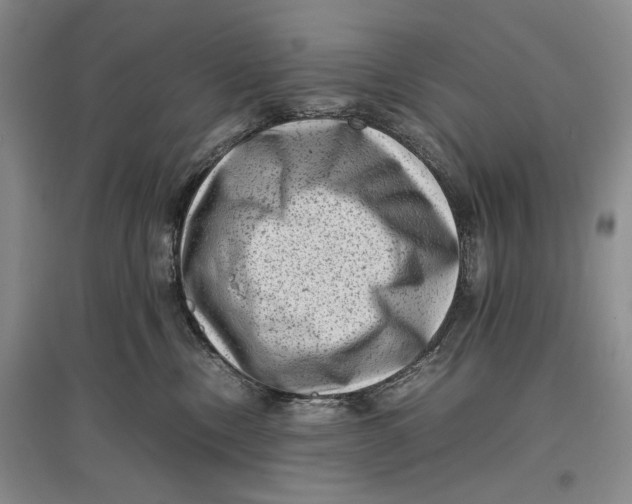 X0000096980378200802291151