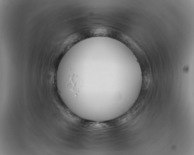 X0000096980379200802291151