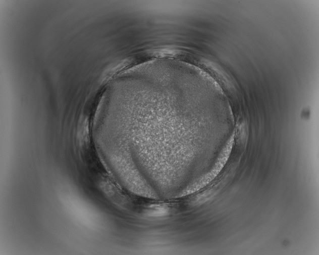 X0000096980381200802291151