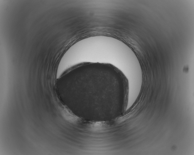 X0000096980382200802291151