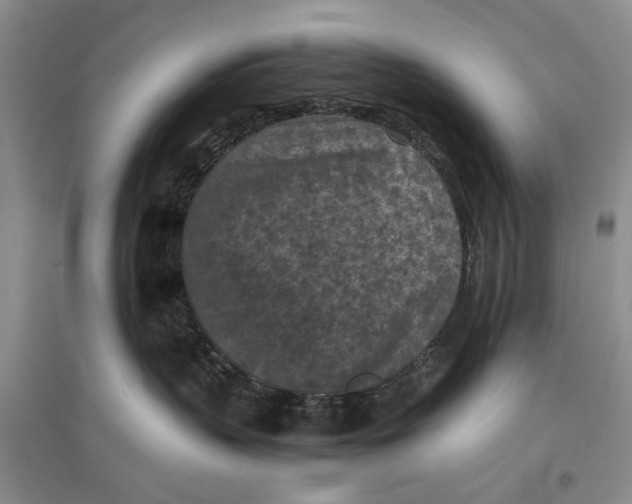 X0000096980383200802291151