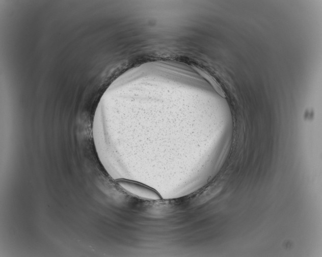 X0000096980384200802291151