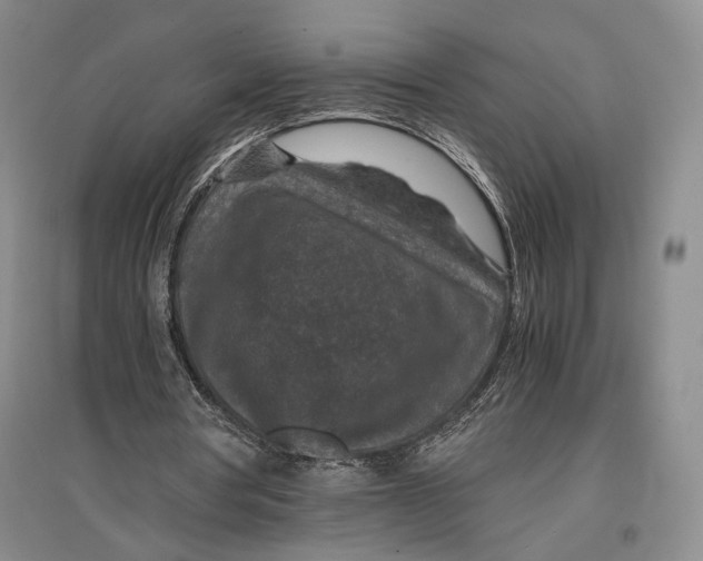 X0000096980386200802291151