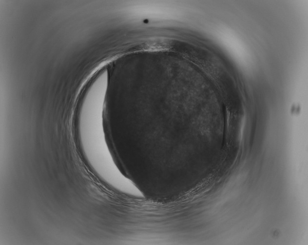 X0000096980387200802291151