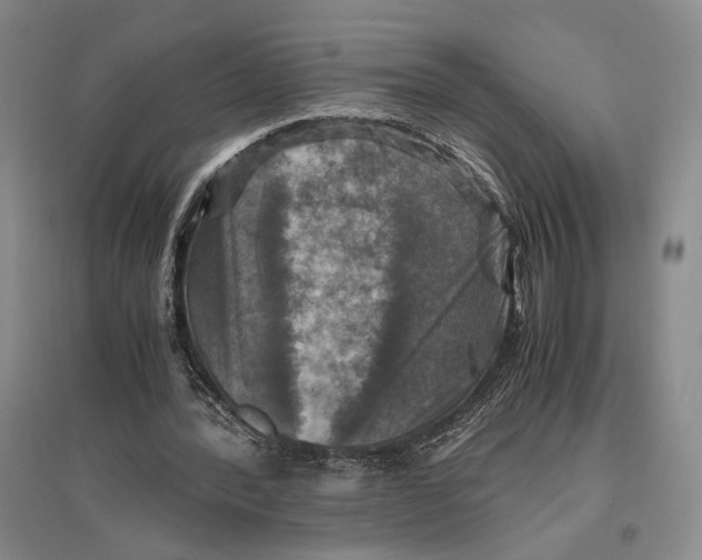 X0000096980388200802291151