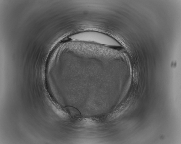 X0000096980390200802291151