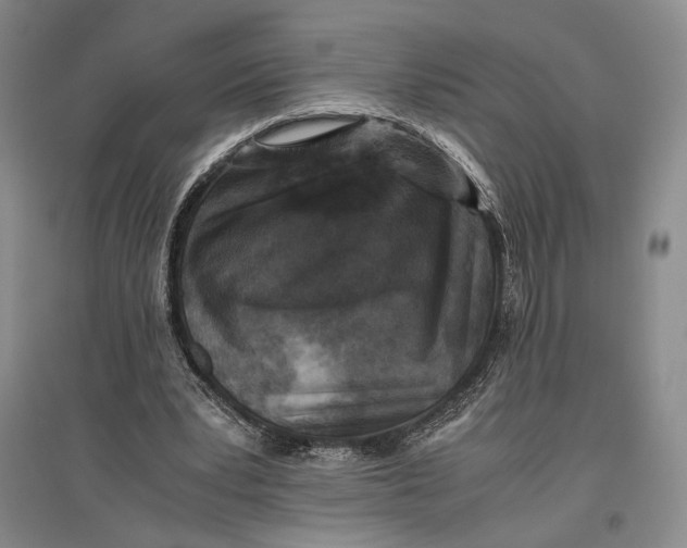 X0000096980391200802291151