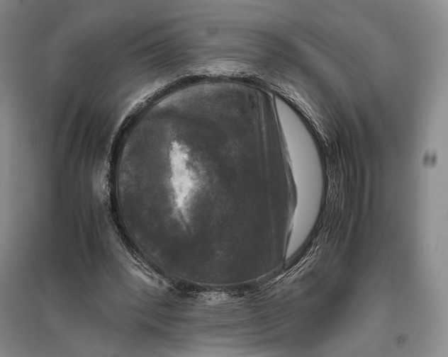 X0000096980392200802291151