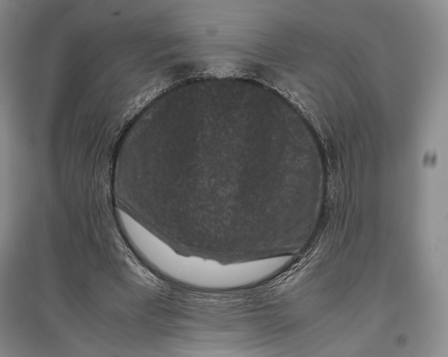 X0000096980393200802291151