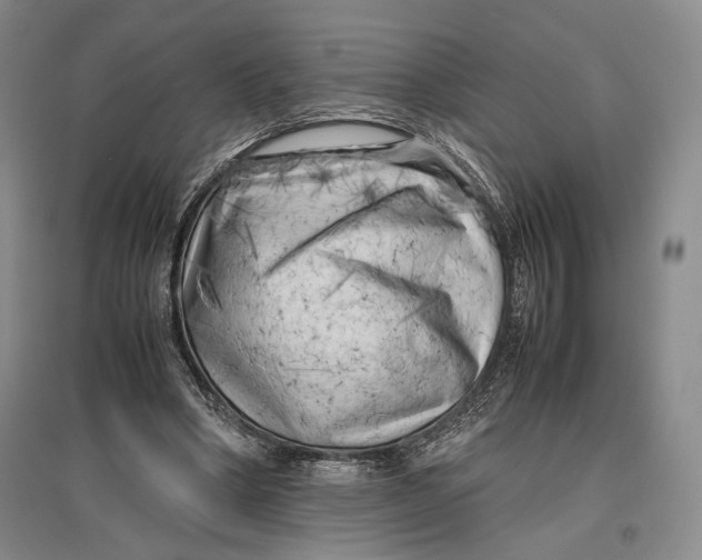 X0000096980394200802291151