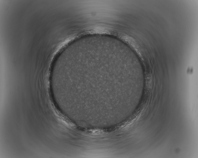 X0000096980395200802291151