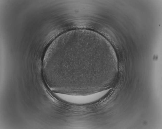 X0000096980397200802291151