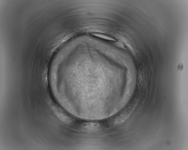 X0000096980398200802291151