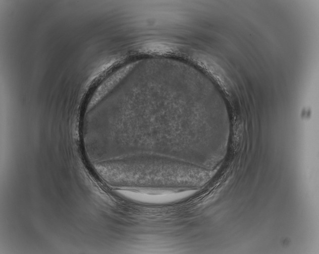 X0000096980399200802291150