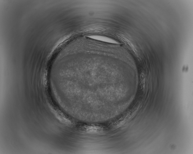 X0000096980400200802291150