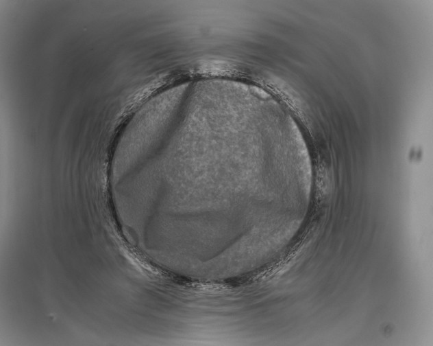 X0000096980401200802291150