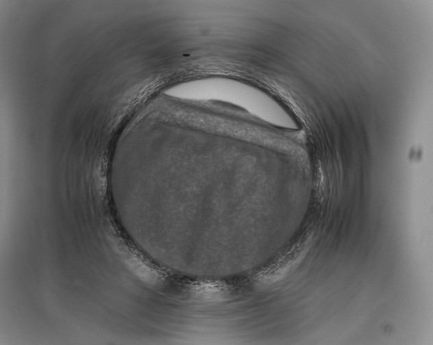 X0000096980402200802291150