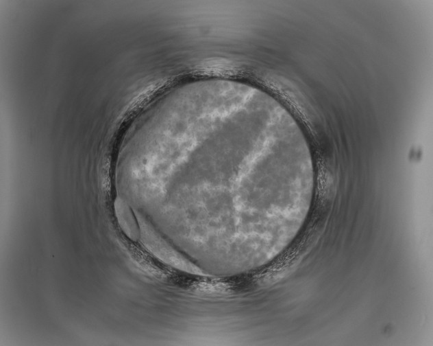 X0000096980403200802291150