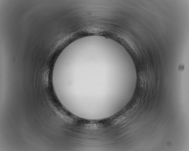 X0000096980404200802291150