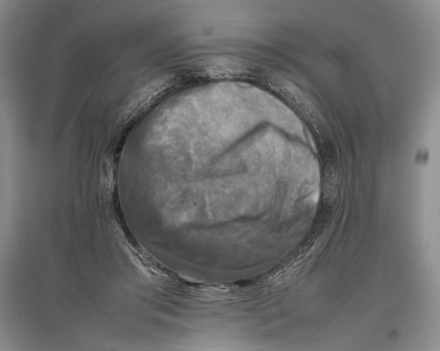 X0000096980405200802291150