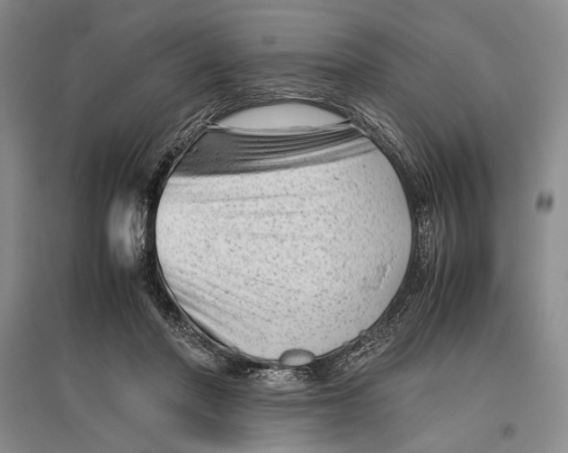 X0000096980406200802291150