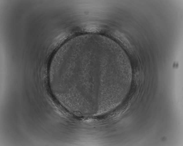 X0000096980407200802291150