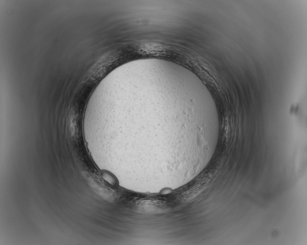 X0000096980408200802291150