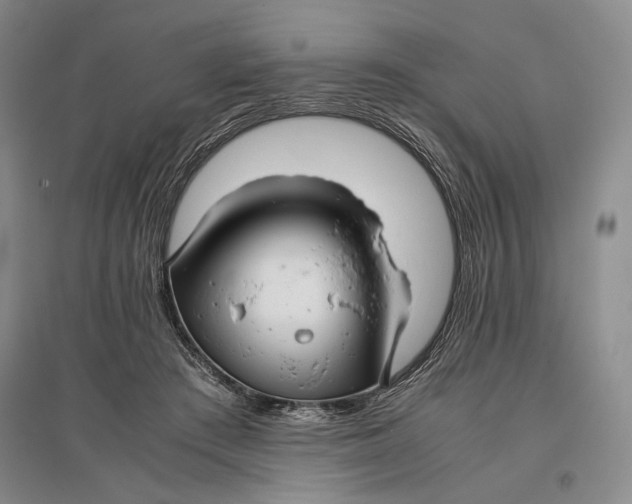 X0000096980409200802291150