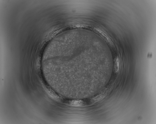 X0000096980410200802291150