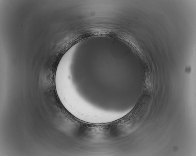 X0000096980411200802291150