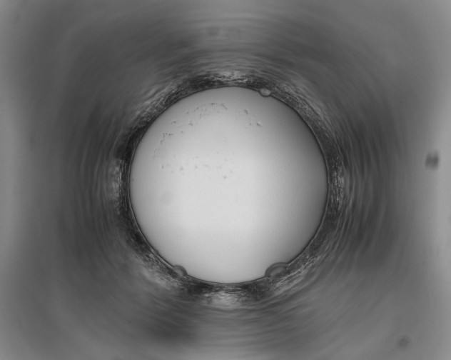 X0000096980412200802291150