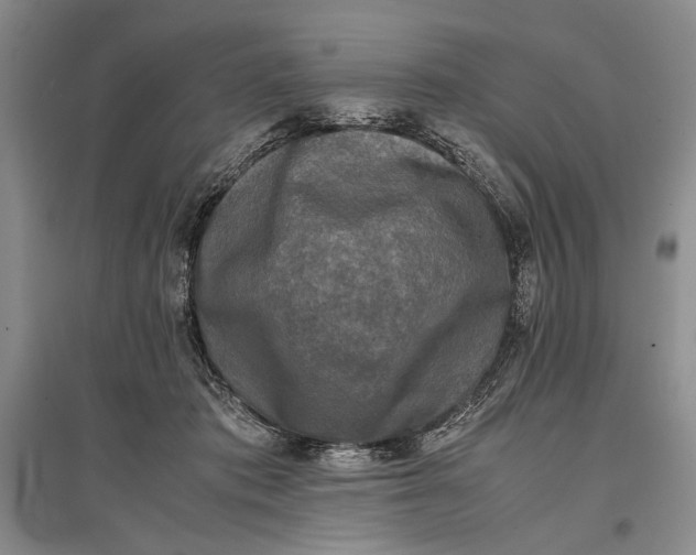 X0000096980413200802291150