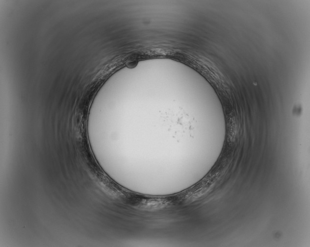 X0000096980414200802291150