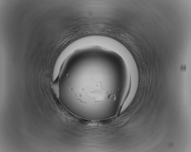 X0000096980415200802291150