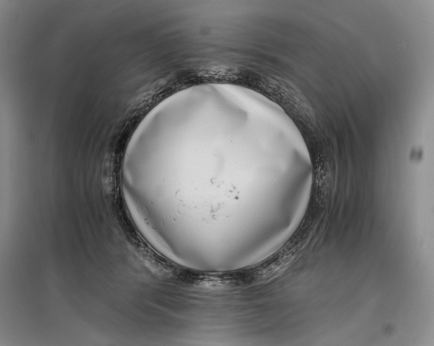 X0000096980416200802291150